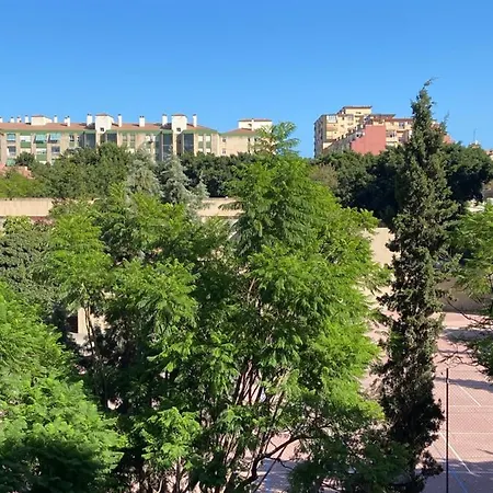 Ayala