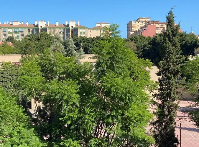 Ayala